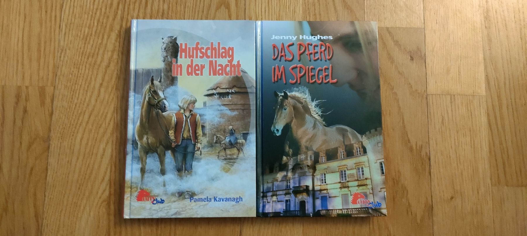Bücher: 2 Pferdebücher Ponyclub – Gebraucht aus Mönchaltorf von Icelandichorse