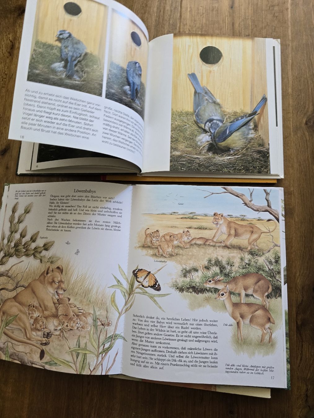 Libri: bücher für kinder – Usato da Wittenbach venduto da Tigerlili 7