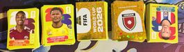 Panini FIFA World Cup 2026 Sticker 240+