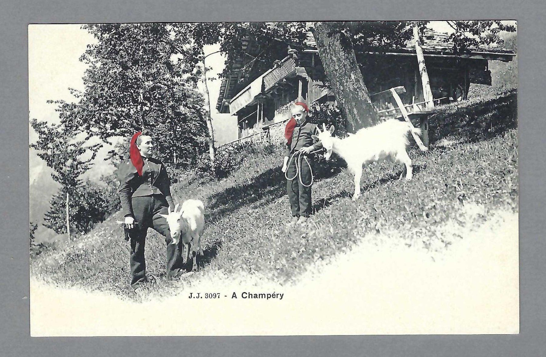 Cartoline postali: PAYSANNES DE CHAMPÉRY, *, CHÈVRES – Usato da Pura venduto da ulisse1957