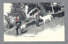 PAYSANNES DE CHAMPÉRY, *, CHÈVRES