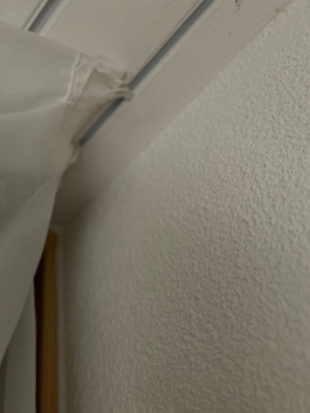 Tende: Gardine weiss/210x235cm mit Schweizer Schienensystem – Usato da Zürich venduto da SonnZH 4