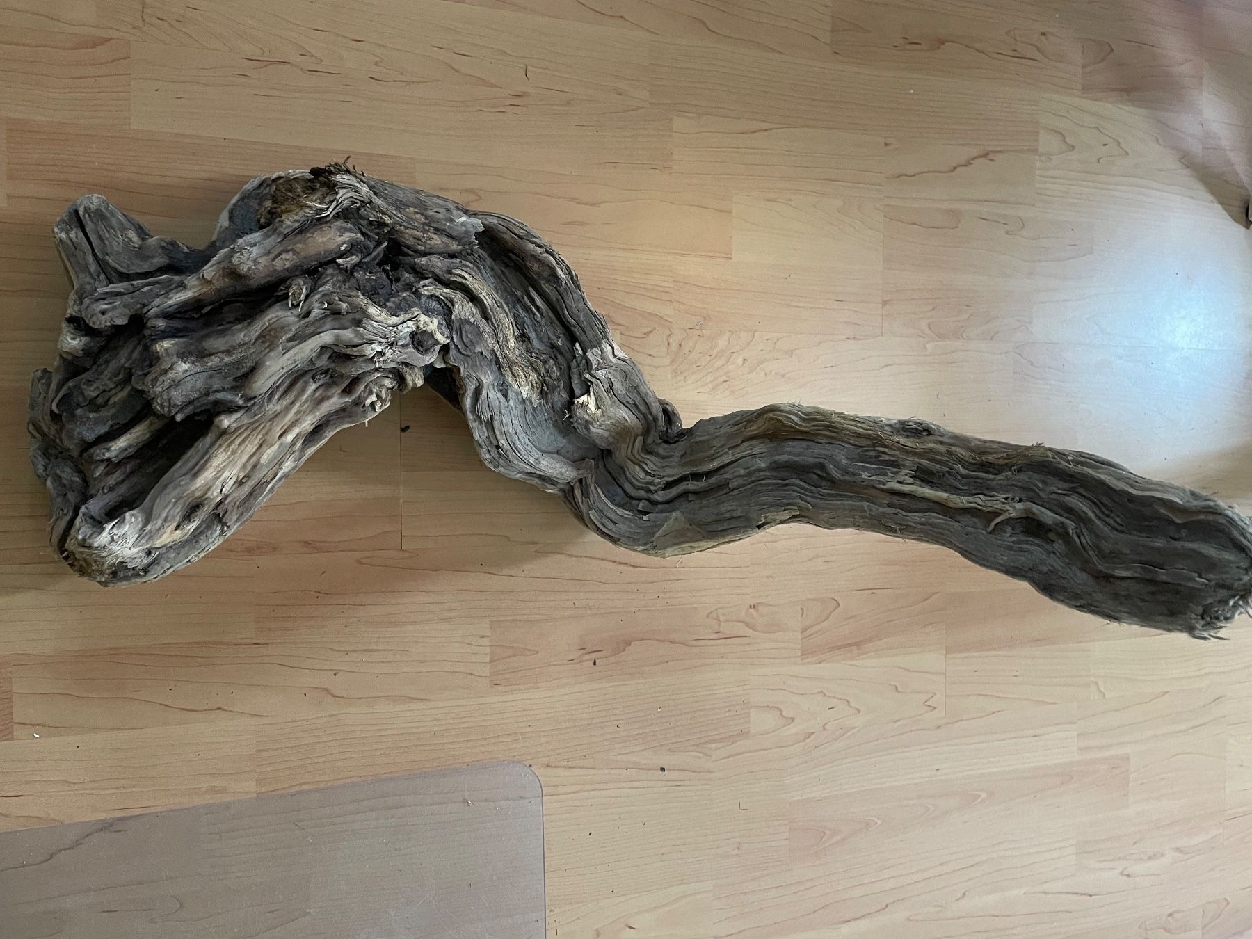Tutte le decorazioni: Branches de tout types pour terrarium – Usato da Monthey venduto da rma_m72q 5