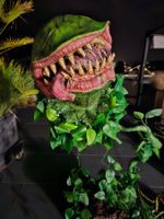 HALLOWEEN/ HORROR FLEISCHFRESSENDE PFLANZE