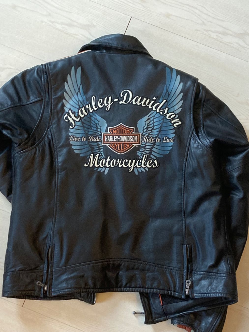 Giacche: Motorradjacke Polo – Usato da Auenstein venduto da brugdy 1