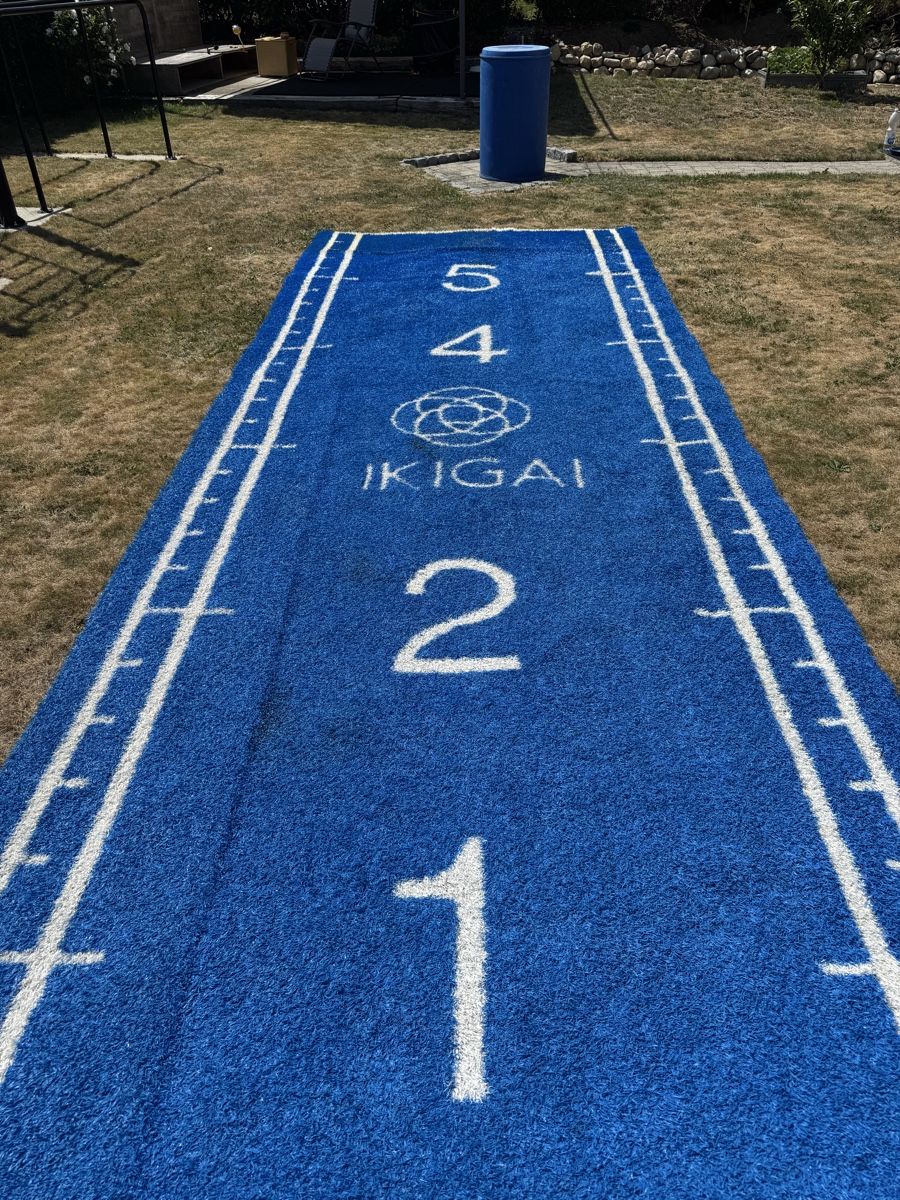 Tapis de sol: Gazon synthétique bleu 2x7m avec marquage  – D'occasion à Pâquier-Montbarry par ada_w658 1
