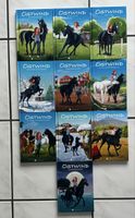 Ostwind Bücher Set | 10 Teile | Alle gut erhalten | 🐴
