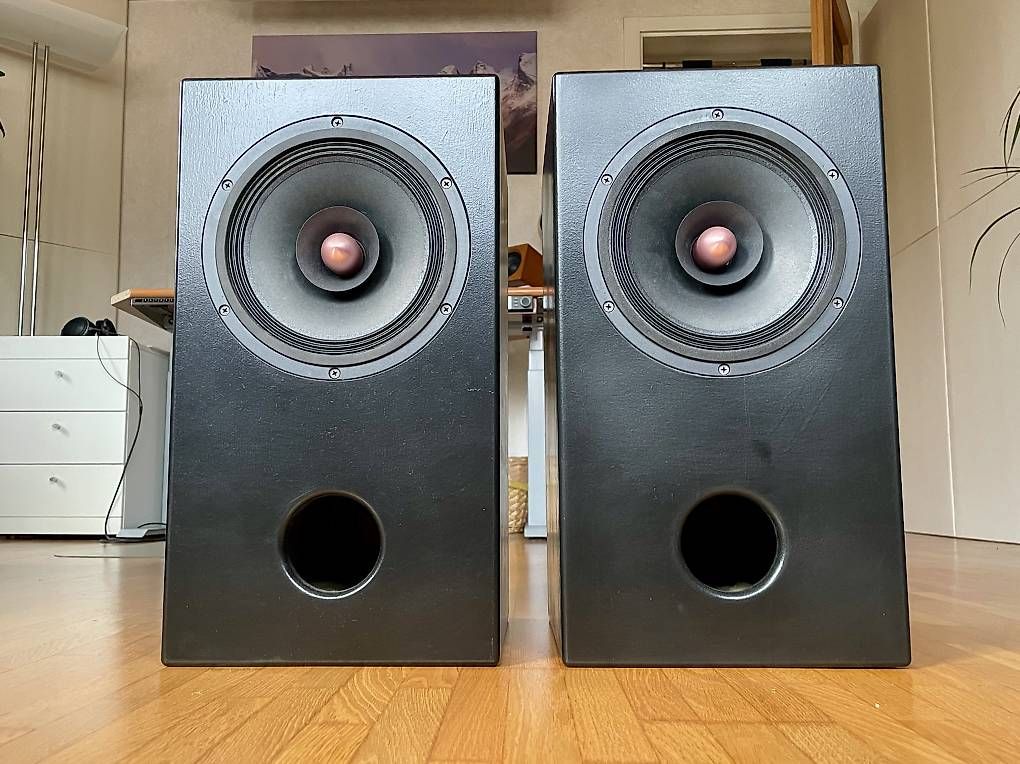 Casse acustiche: Audio Nirvana Super 8 - "Mini Monitor" – Usato da Schwyz venduto da gibsamier