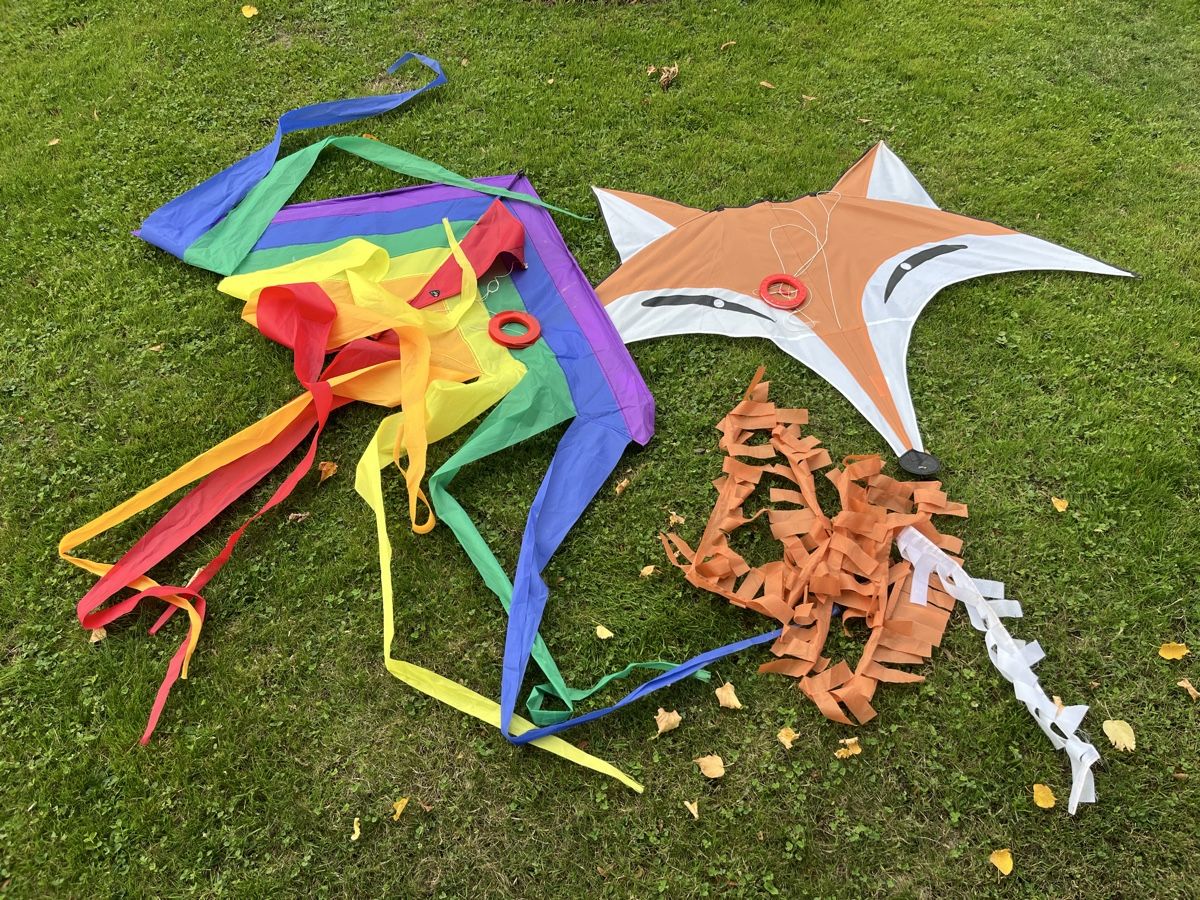 Giochi: Zwei Drachen Regenbogen Fuchs Flugdrachen – Usato da Steinebrunn venduto da batman06