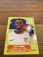 Panini Usa 12