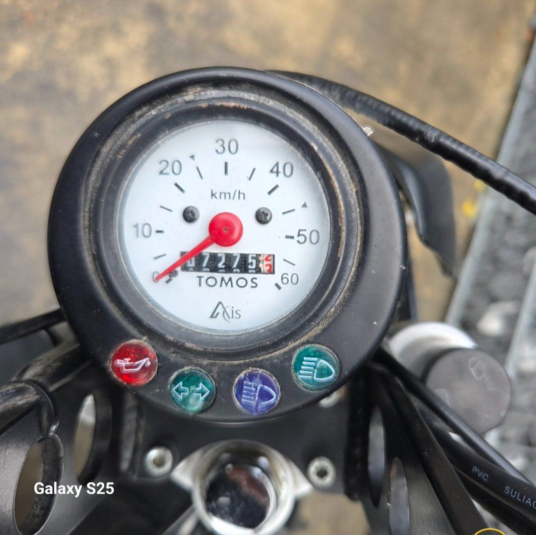 Tomos Ciclomotori: Tomos Primavera Verkaufen – Usato da Unterterzen venduto da SKS-SWISS 4