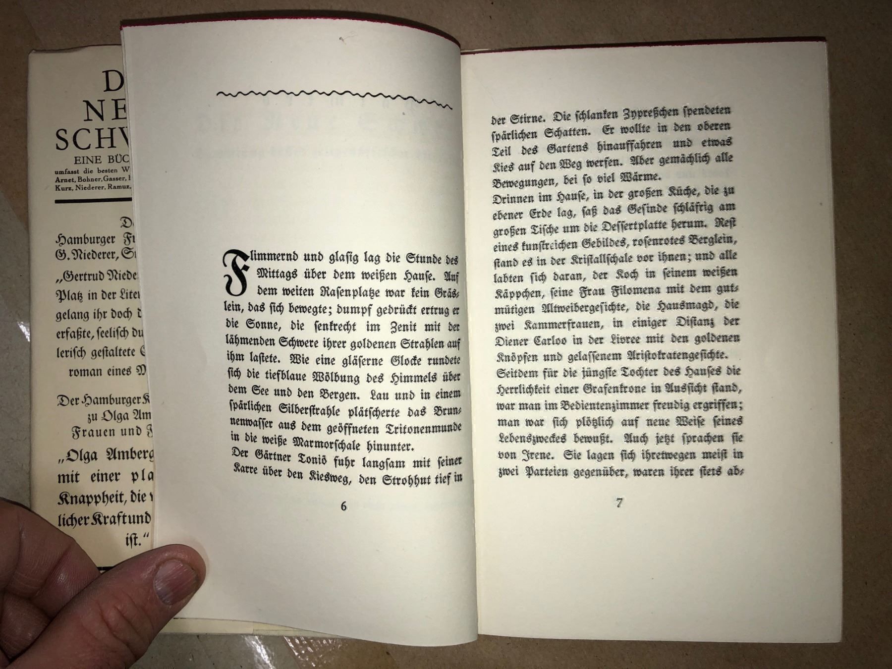 Libri: Gertrud Niederer: Palmiro. Erzählung. – Usato da Zürich venduto da allp 4