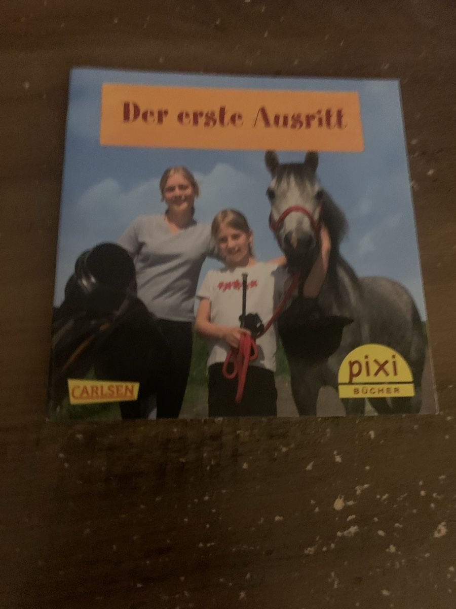 Libri: 4er Set Pixi Büchlein – Usato da Buus venduto da 2013dp 3