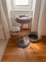 Katzenbaum (3 Wochen alt)