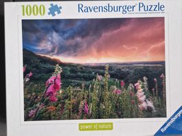 Ravensburger Puzzle Blumenwiese 1000 Teile - vollständig