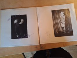 Ellen Foley Spirit of St.Louis