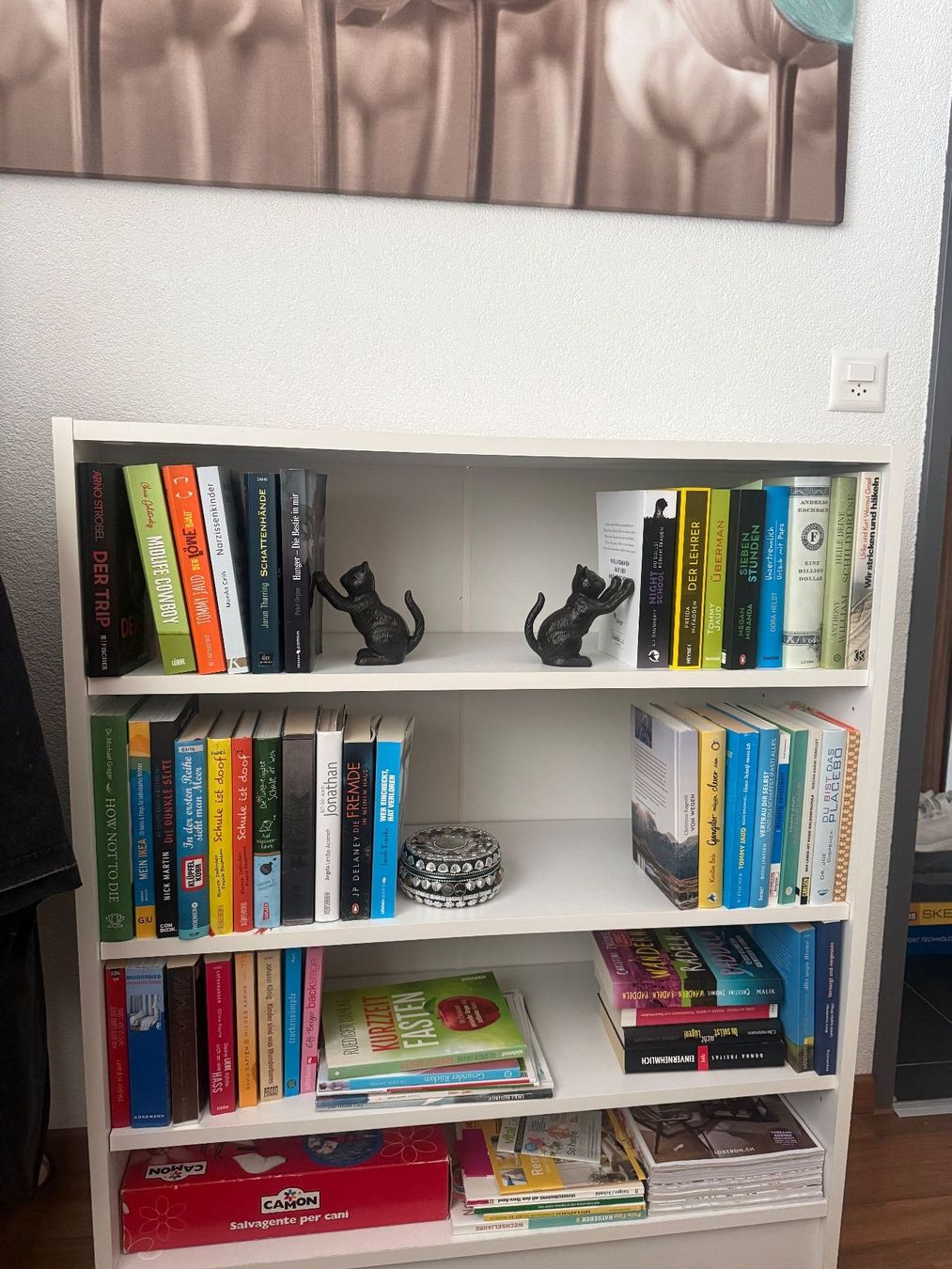Interio Étagères: Stabiles Bücherregal von Interio – D'occasion à Sirnach par sirni 4