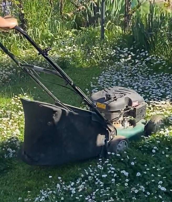 Tagliaerba: tondeuse à gazon MTD à réparer  – Usato da Grand-Lancy venduto da sellart 1