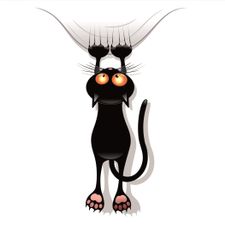 Profile image of Sasle89