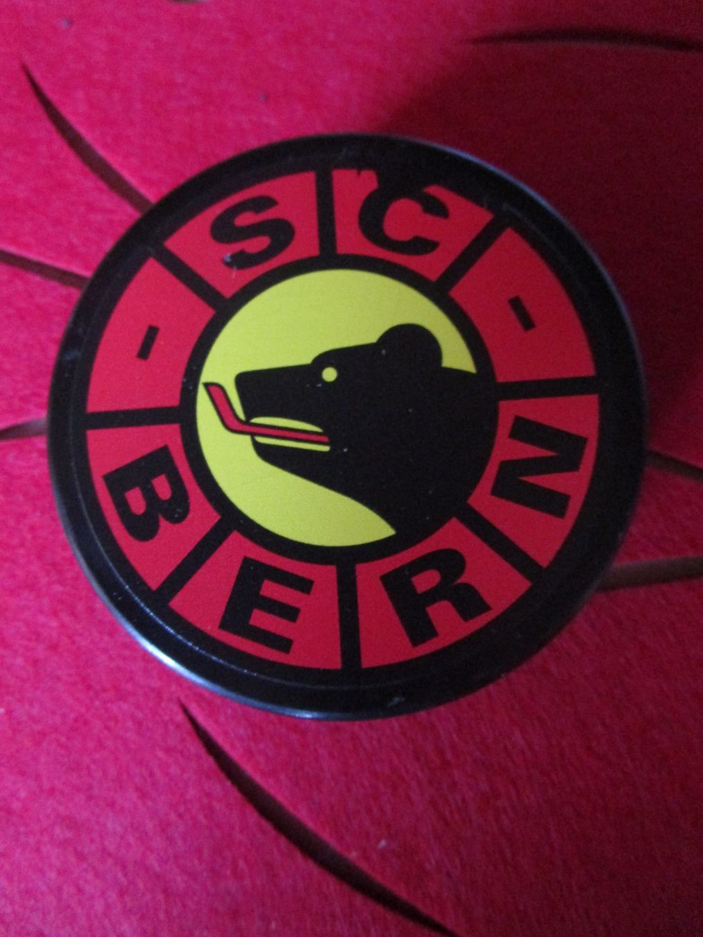 Autografi: SC BERN EISHOCKEY PUCK SAMMLUNG MIT AUTOGRAMMEN ANTIK – Usato da GUTENSWIL venduto da Alpina6 1