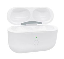 Apple AirPods Pro Ladecase USB-C