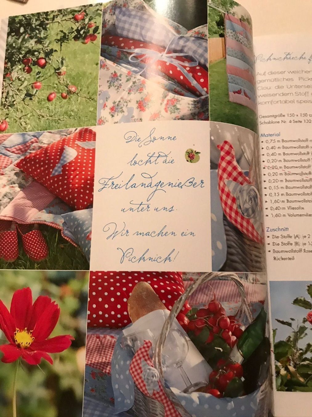 Libri: Sommerfrische (tolle Ideen) – Nuovo (secondo la descrizione) da Luzern venduto da Hans1937 2