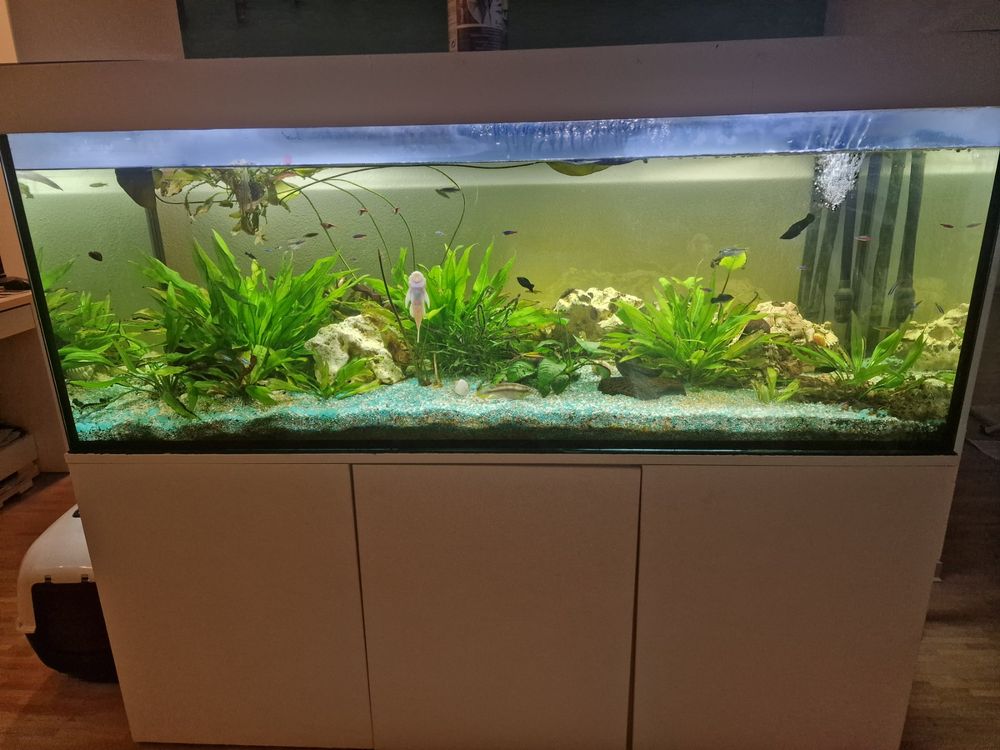 Aquarium outlet 600l mit Unterschrank und Zubehör