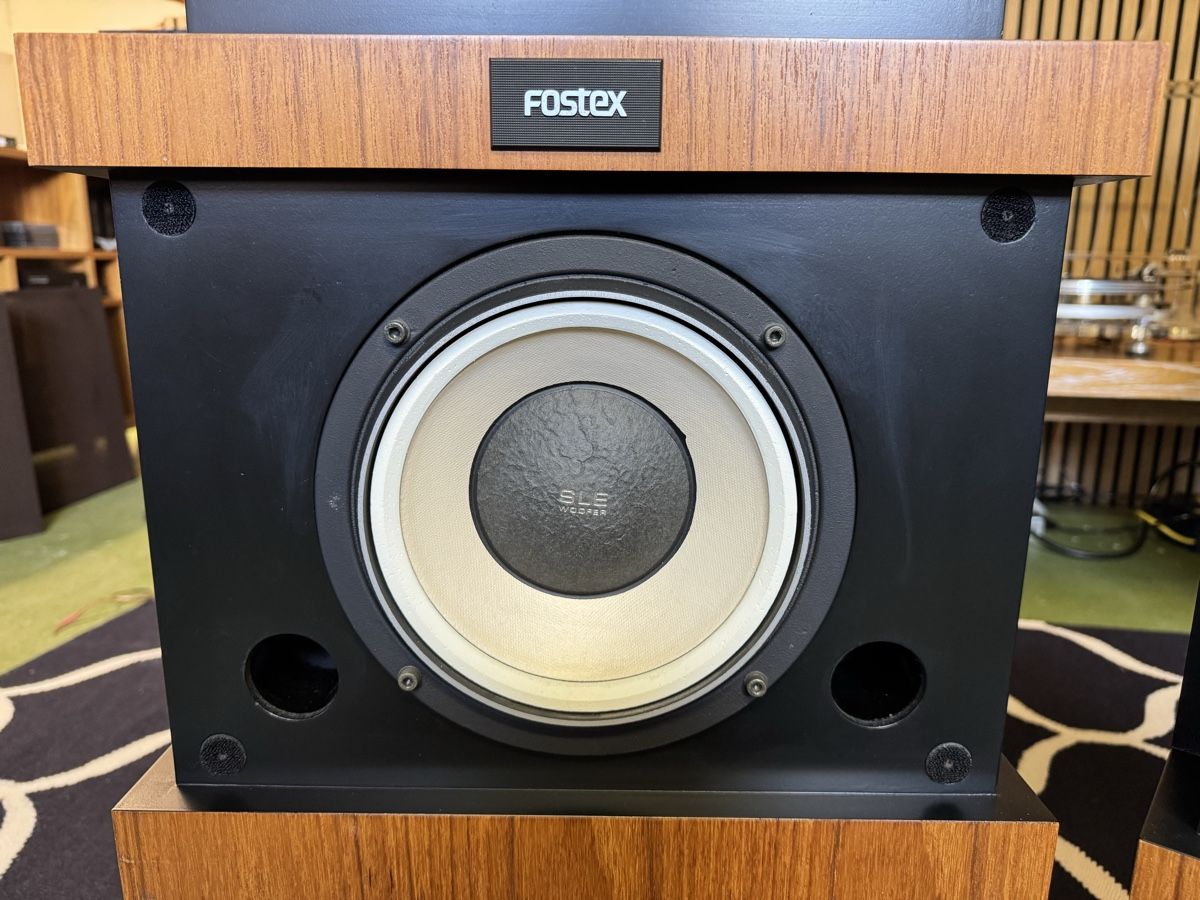 Fostex Lautsprecher: Fostex GZ1001 – Gebraucht aus Ebertswil von audivero 2