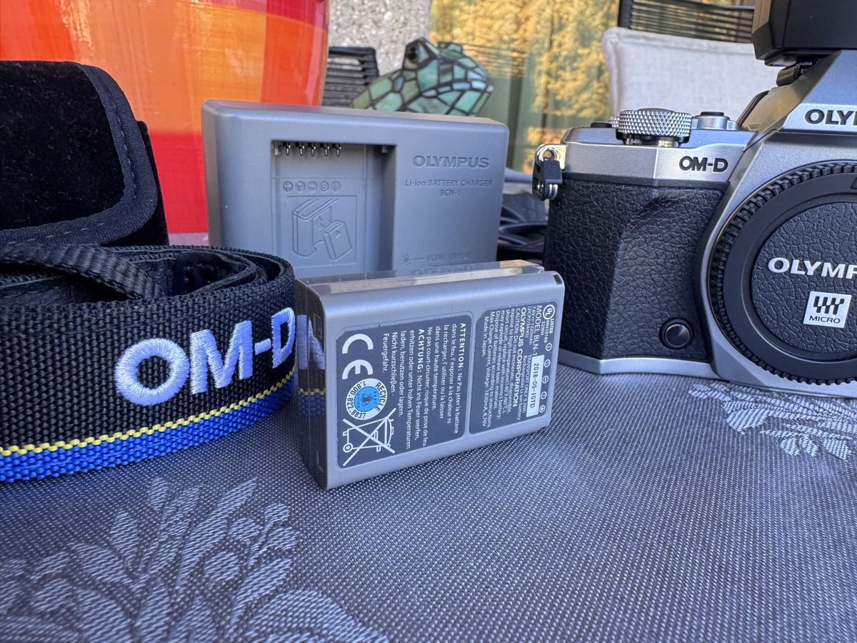 Olympus Fotocamera: Olympus OM-D E-M5 Mark II Mirrorless Camera with Flash – Usato da Viganello venduto da NicodemusRoger 2