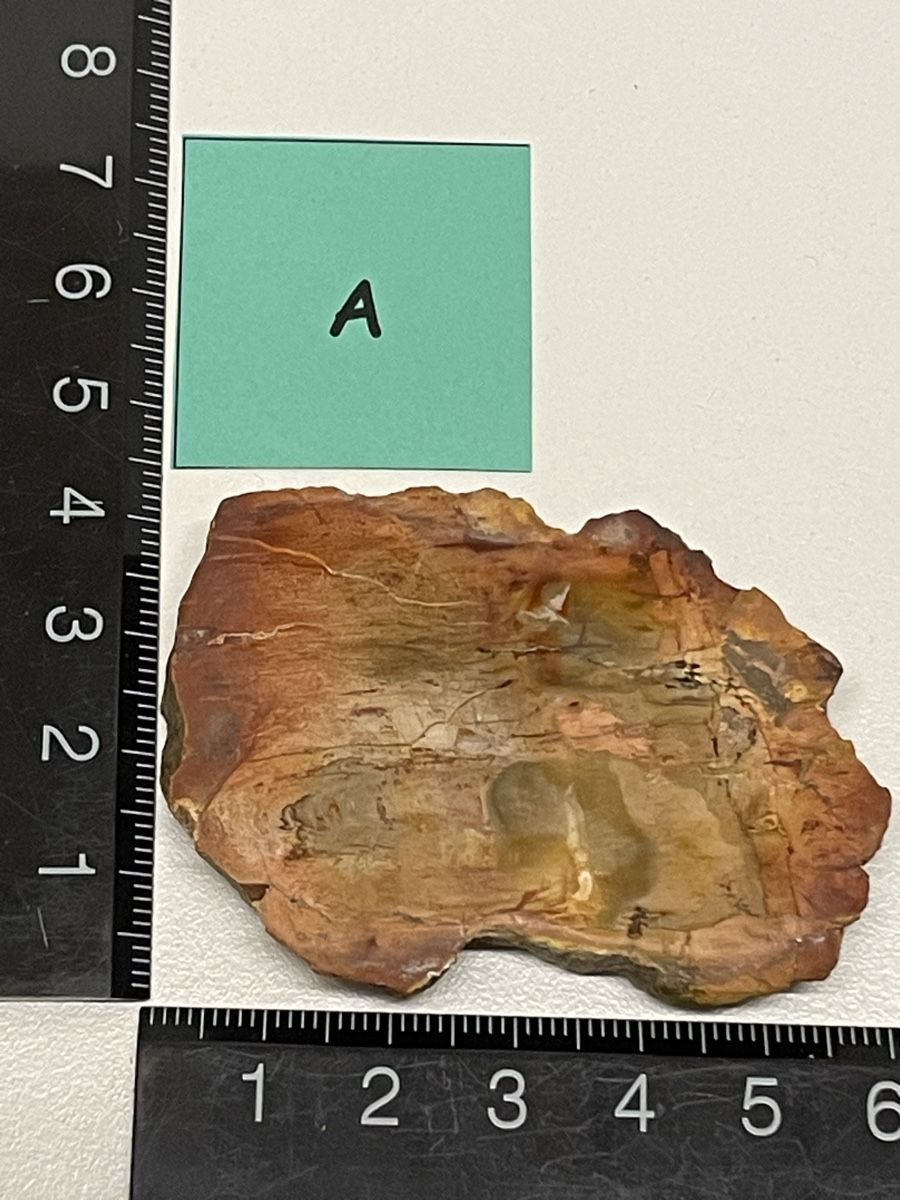 Minerali & Pietre curative: Heilstein / versteinertes Holz / Edelstein – Usato da Rümlang venduto da euqinom16