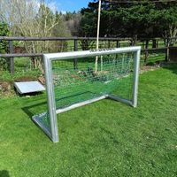 Professionelles Fussballtor oder Unihockeytor