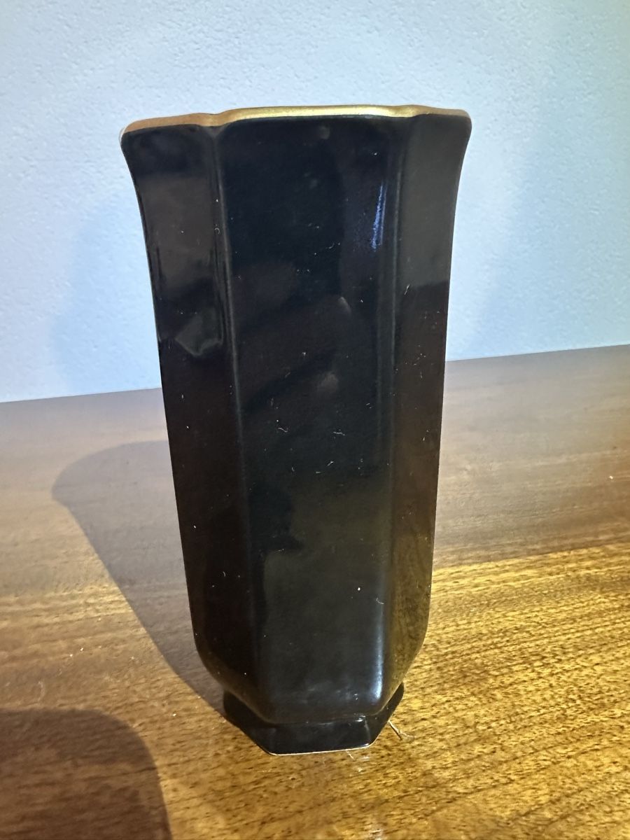 Vasi & Recipienti: Vase décorative noire et fleurs, touche élégante! – Usato da St-Maurice venduto da Gigione01 1