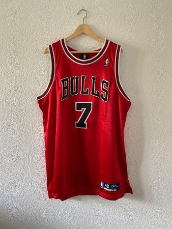 🔥 Jersey Vintage Chicago Bulls Gordon