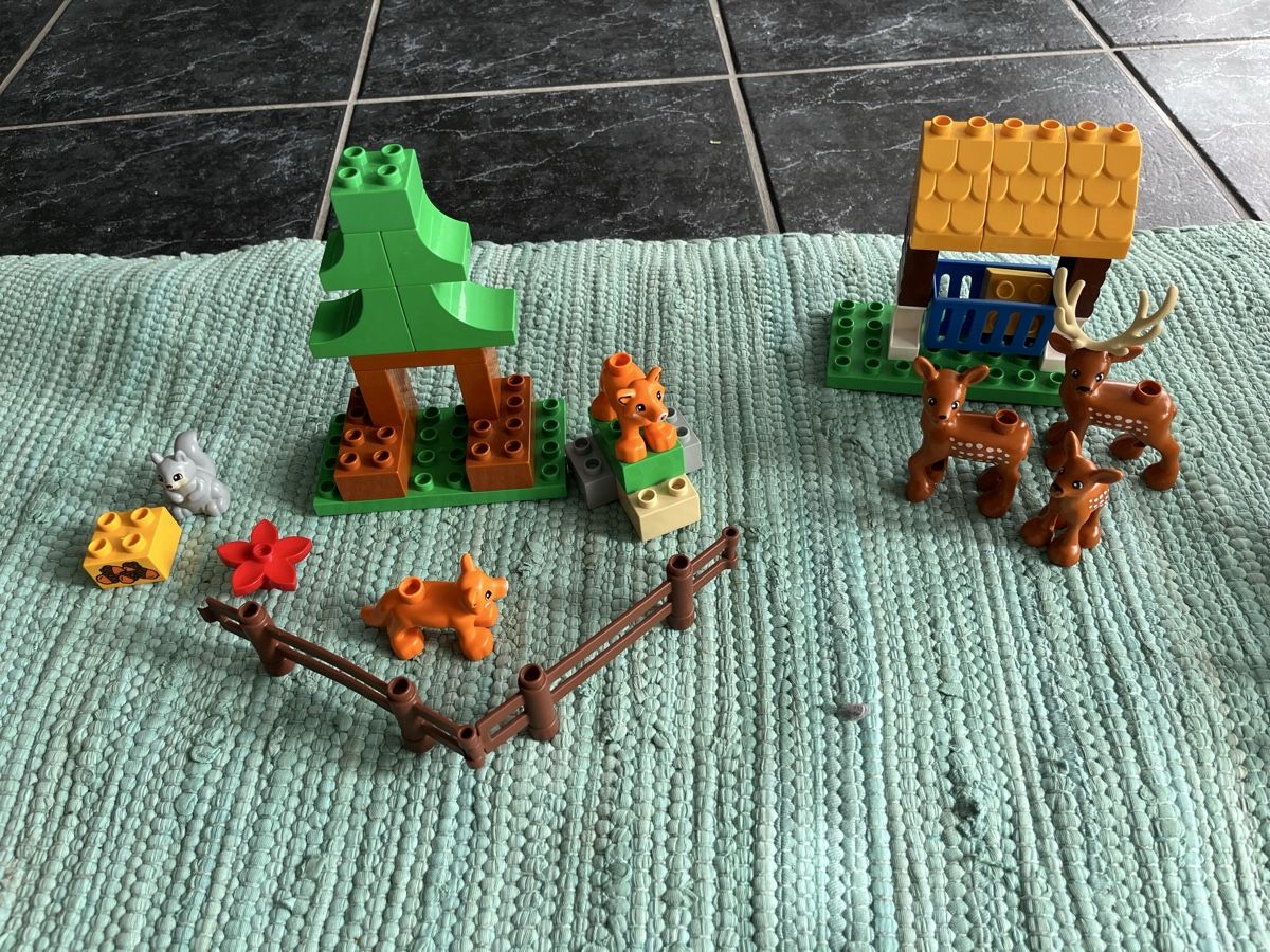 Lego Giocattoli: Lego Duplo Wildpark – Usato da Kirchberg BE venduto da qualle01 2