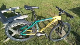 Radon ZT Team only Hardtail
