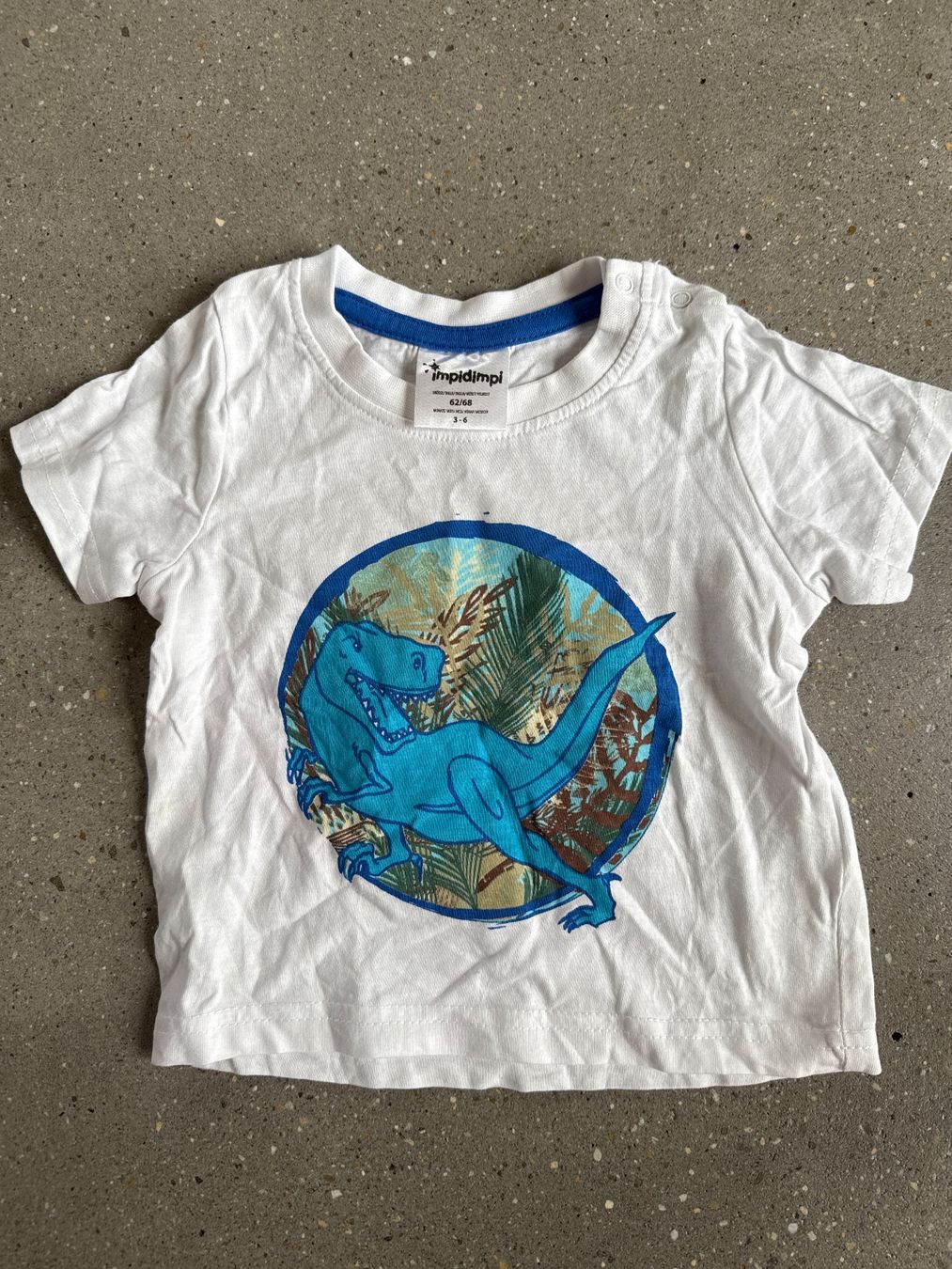 Camicie, Top & T-shirt: Süsses T-Shirt Dinosaurier Gr. 62/68 – Usato da Affoltern am Albis venduto da manurun
