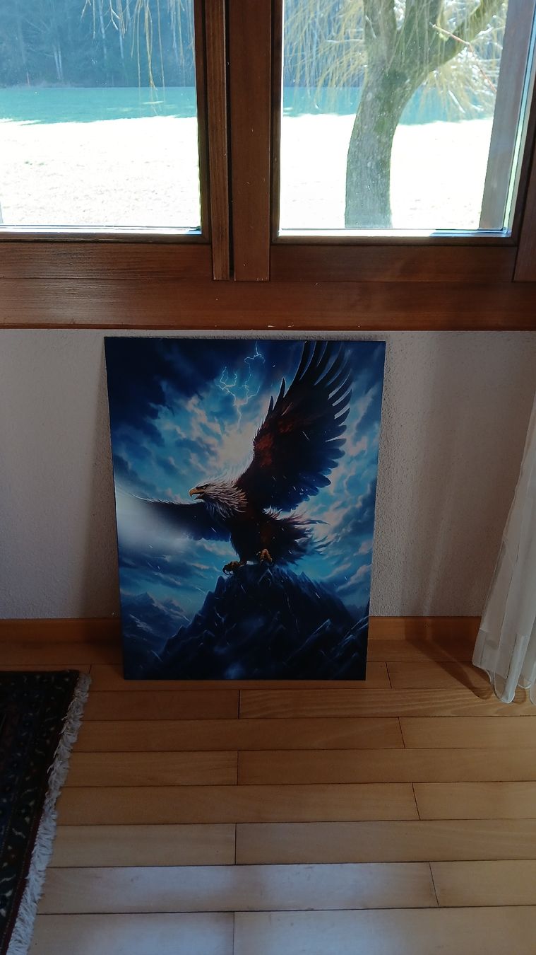 Foto & Immagini: Adler Displate – Nuovo e nell'imballaggio originale da Willisau venduto da Livian_Mehr