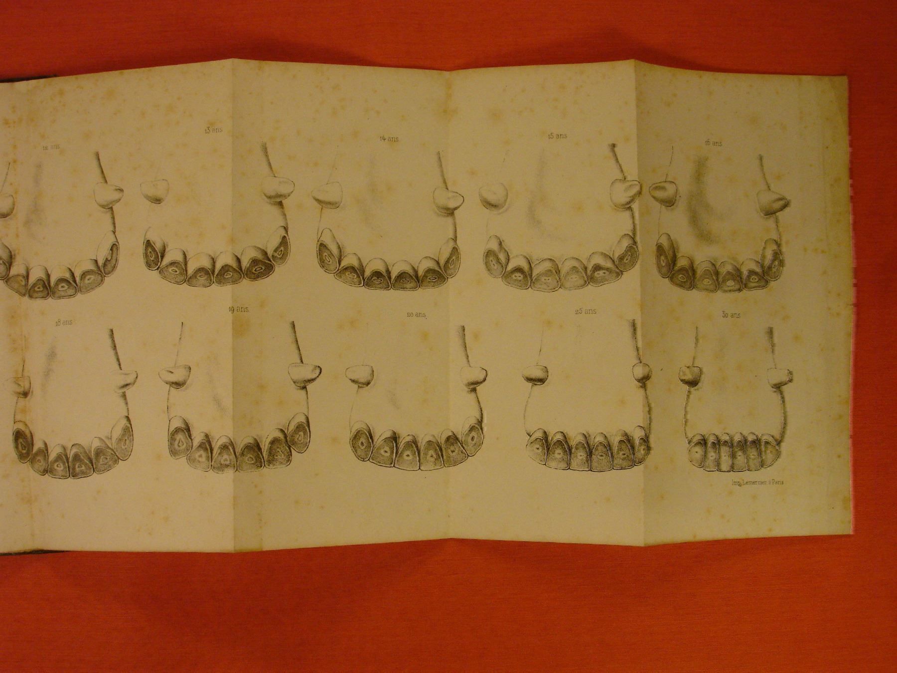 Libri: DE LA CONFORMATION DU CHEVAL, um 1860, PFERD – Usato da Grüningen venduto da Kartensammler 3