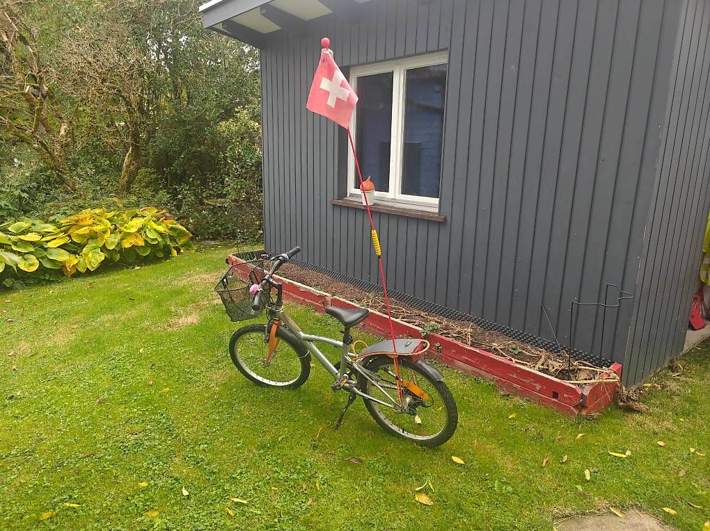 Biciclette: Kindervelo – Usato da Turbenthal venduto da nag_5x6c 1