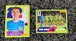 Panini Stickers
