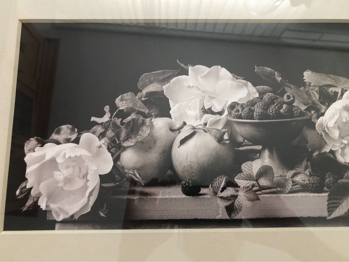 Foto & Immagini: Poster- von Sondra Wampler – Usato da Kollbrunn venduto da wiz_pvc9 1