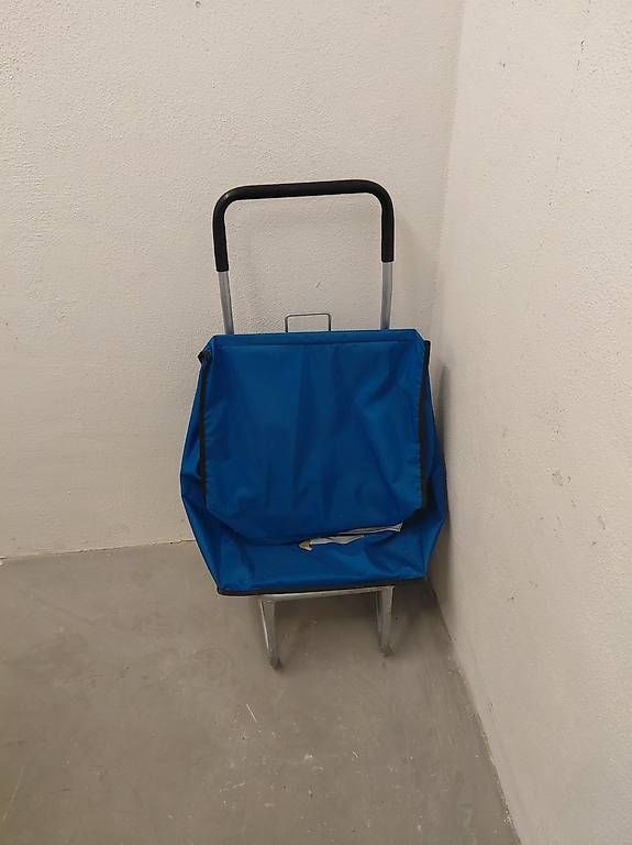 Carriole: Zeitungswagen – Usato da zürich venduto da Danys1 1