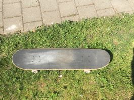 Skateboard für Einsteiger - Jetzt bereit für den Sommer!