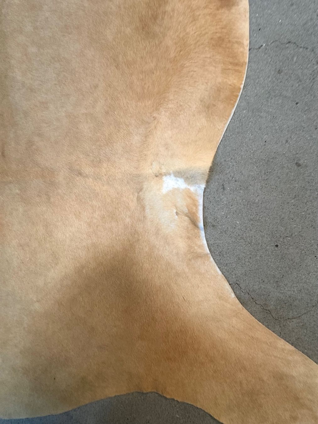 Tappeti: GROSSER KUHFELLTEPPICH AB 1.-!!! – Usato da Zürich venduto da NIKI777 4