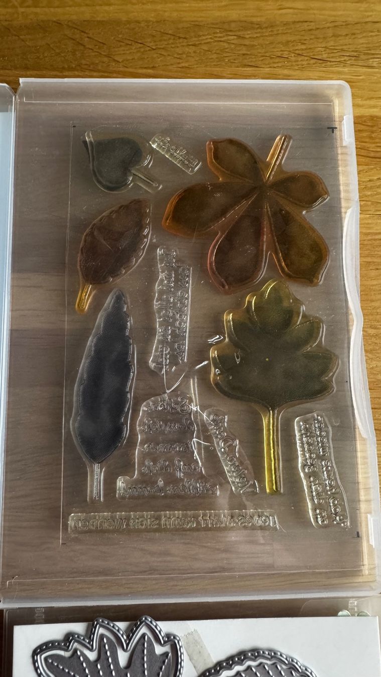 Stampin' up! Stempel: Stampin Up / Wunderbare Blätter / A – Gebraucht aus Neukirch (Egnach) von muolen 2