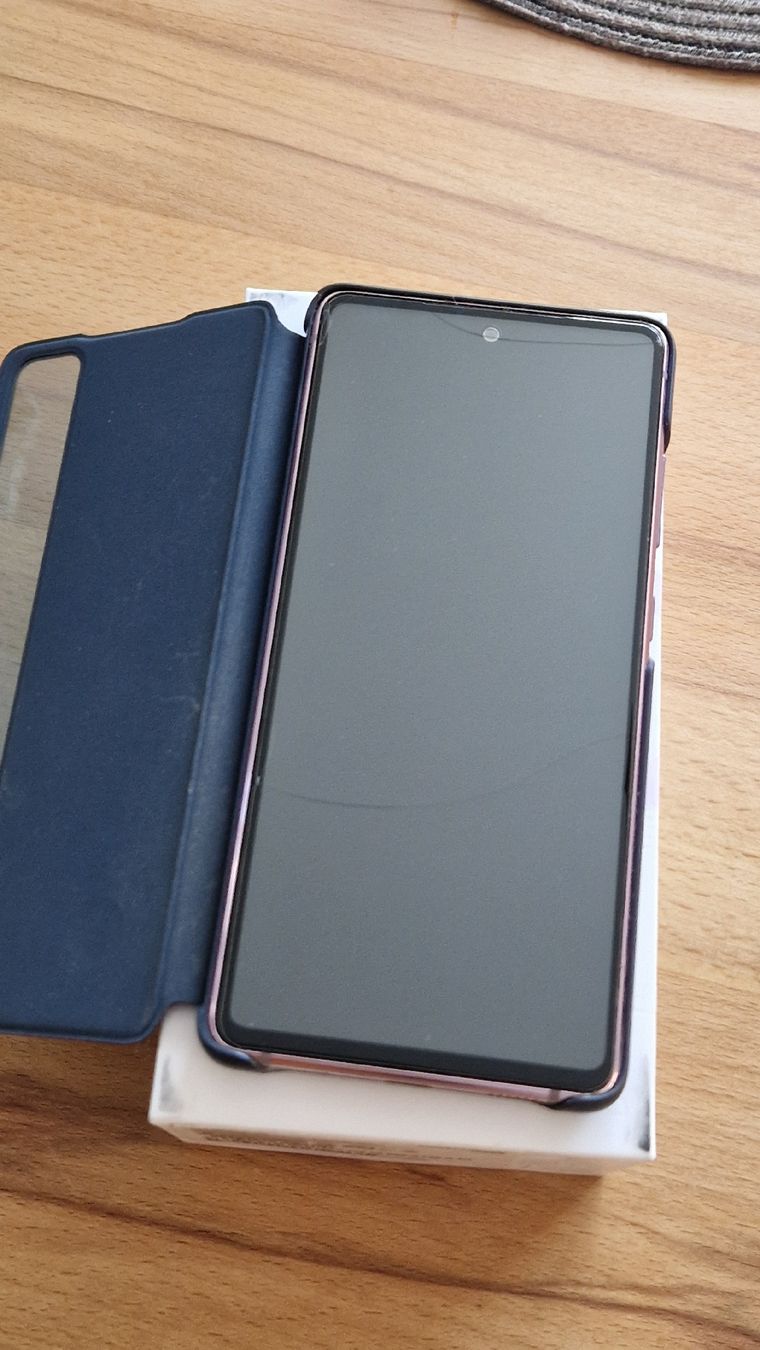 Samsung Handys / Smartphones: Samsung Galaxy S20 FE 5G – Gebraucht aus Therwil von macjack08