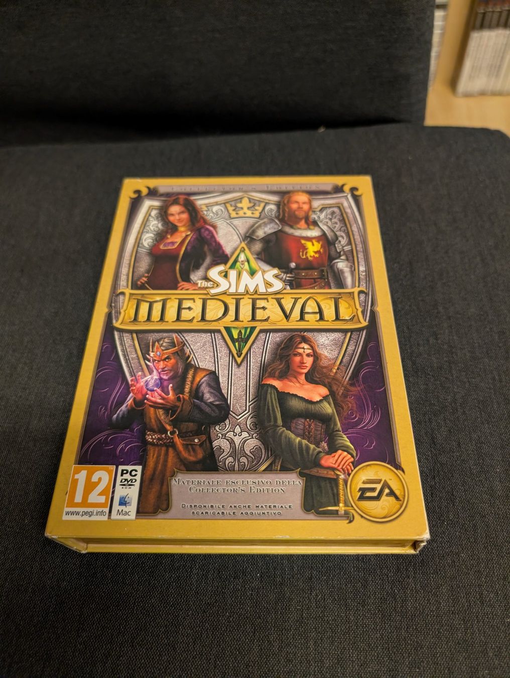 Spiele: The Sims medieval PC CD-ROM – Gebraucht aus Giubiasco von Tici__nerd_Giubiasco
