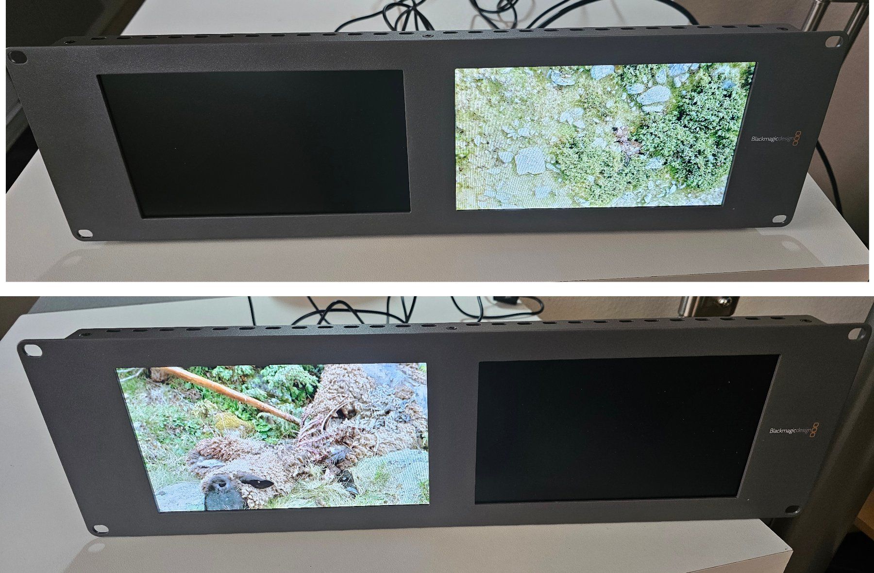 Blackmagic Monitore: Blackmagic Design SmartView Duo – Dual SDI Rackmonitor – Neu und originalverpackt aus Birsfelden von missnamrit 3
