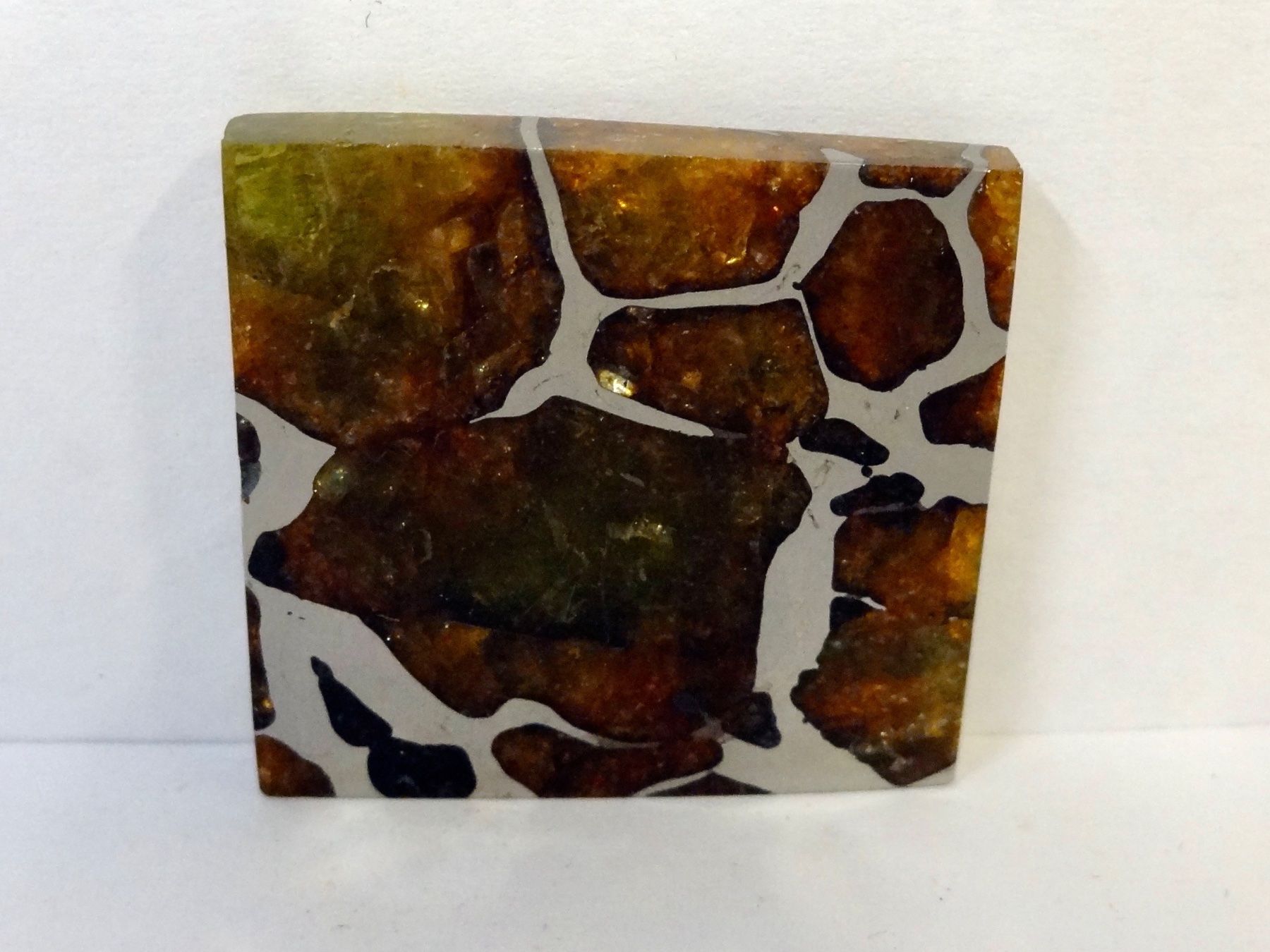 Minéraux & Lithothérapie: Meteorit PALLASIT Eisen-Stein-Meteorit IMILAC CHILE – Neuf (Voir description) à Kerzers par djstarsky73 6