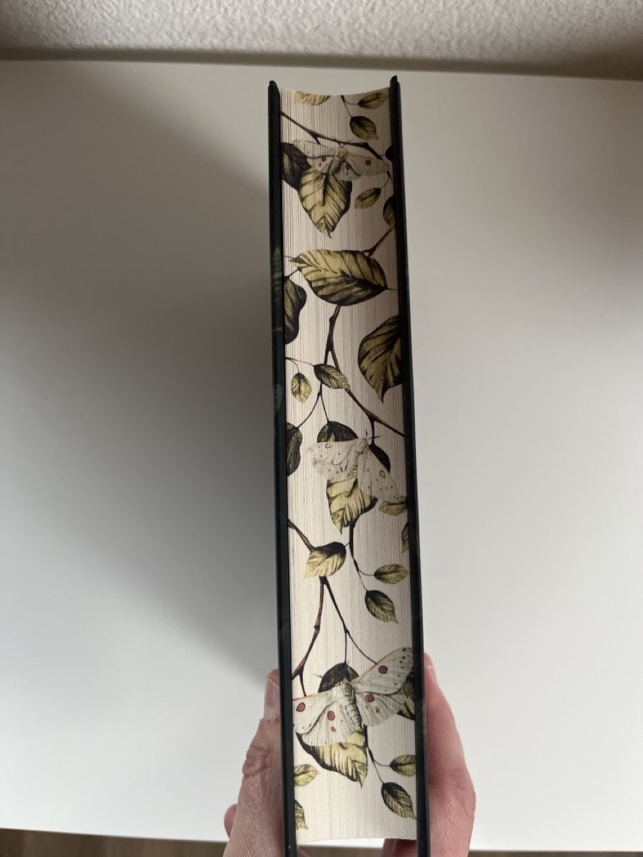 Libri: Blackspell – Usato da Bärschwil venduto da Cherokee42 1